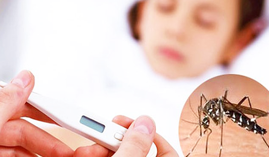 Các vitamin cần bổ sung sau sốt xuất huyết giúp cơ thể mau hồi phục