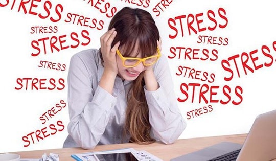 4 chất đến từ thảo dược giúp giảm căng thẳng cho não bộ