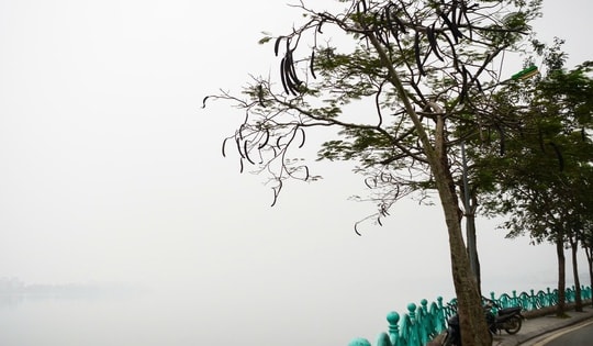 Miền Bắc trời rét kèm sương mù dài ngày