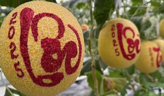 Những loại trái cây tạo hình lạ nào sẽ xuất hiện trên thị trường Tết 2026?