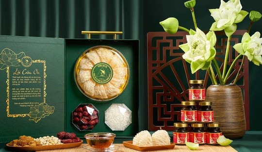 Thượng Long Yến: Hành trình đưa yến sào đến gần hơn với người Việt