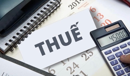 Không đăng ký thuế có thể bị truy thu toàn bộ số tiền từ trước đến nay