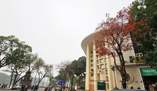 Miền Bắc nắng ban ngày trước khi chuyển mưa rải rác từ 24/12