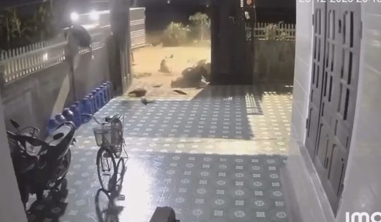 Kinh hoàng clip va chạm ô tô tải, 3 thiếu niên đi xe máy thương vong