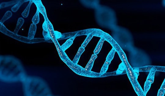 Phát hiện gene giúp tế bào ung thư thoát khỏi sự tấn công của hệ miễn dịch