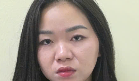 Bắt giữ Dương Thị Hoàng Yến về hành vi môi giới mại dâm