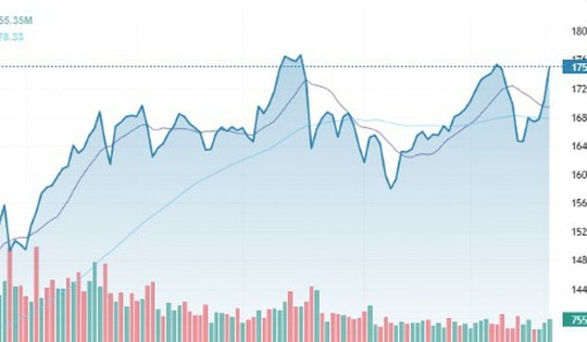 Xu hướng chứng khoán 23/12, tăng dần tỷ trọng cổ phiếu