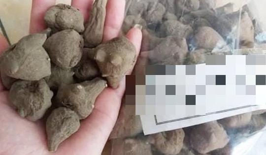 Nhập viện cấp cứu sau 1 giờ ăn củ ấu tàu