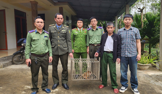 Khỉ vàng quý hiếm đi lạc vào nhà, người dân bắt giữ giao nộp chính quyền