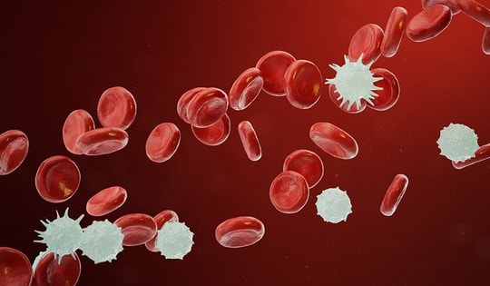 Tìm ra manh mối ngăn ung thư tái phát