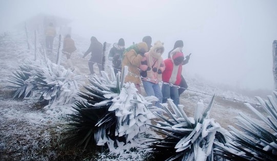 Miền Bắc chìm trong không khí lạnh, khả năng xuất hiện băng giá