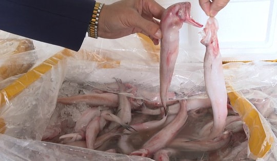 Từ vụ cá khoai tẩm formol, chuyên gia chỉ rõ nguy hại với sức khỏe con người