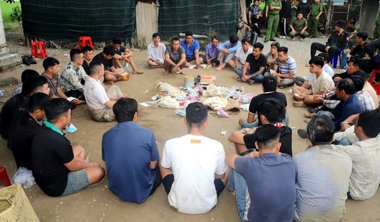 Bao vây trường gà giữa khu đất hoang, bắt 35 con bạc