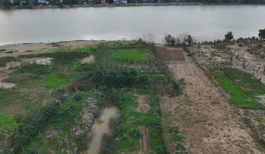 Xác xơ những khu vườn trồng đặc sản 'tiến vua' ở Huế sau lũ