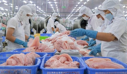 Xuất khẩu cá tra dự báo đạt gần 2,2 tỷ USD