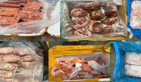 TPHCM: Phát hiện kho chứa hơn 30 tấn nội tạng động vật không nguồn gốc