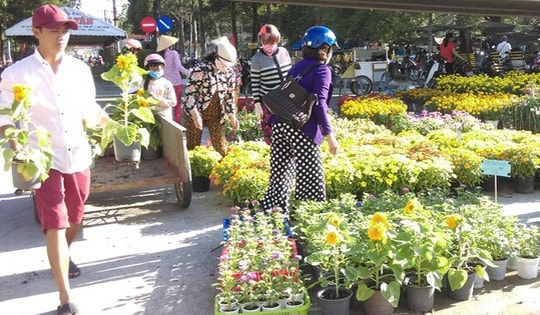 Chuyên gia 'mách nước' cách chọn hoa Tết 2026 bền lâu, không lo nở sớm