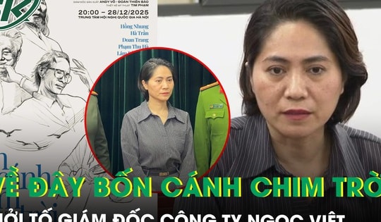 Vụ show ‘Về đây bốn cánh chim trời’ bị hủy: Khởi tố Giám đốc Công ty Ngọc Việt