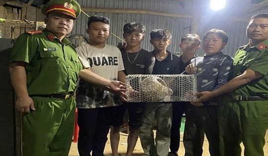 Nhiều động vật hoang dã nguy cấp được người dân tự nguyện giao nộp, thả về tự nhiên