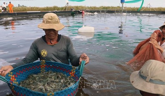 Quy định mới về đối tượng không chịu thuế giá trị gia tăng