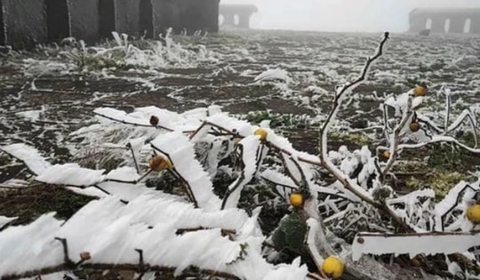 15 tỉnh, thành phố khu vực Bắc Bộ chủ động ứng phó với rét đậm, rét hại