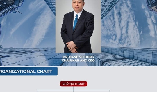 Sinnika Việt Nam giao dịch cổ phiếu nhưng không báo cáo