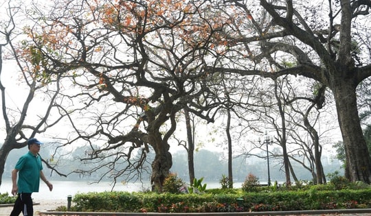 Nguyên nhân nền nhiệt mùa đông 2025 cao hơn trung bình nhiều năm