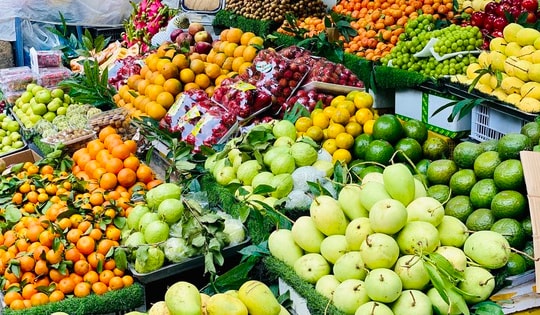 Một loại cam Việt vào mùa giá rẻ chỉ hơn chục nghìn đồng/kg, tiểu thương nhập hàng tạ mỗi ngày phục vụ khách quý