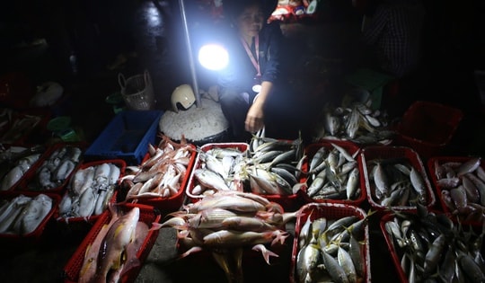 Ngư dân phấn khởi trúng đậm hải sản đầu năm mới