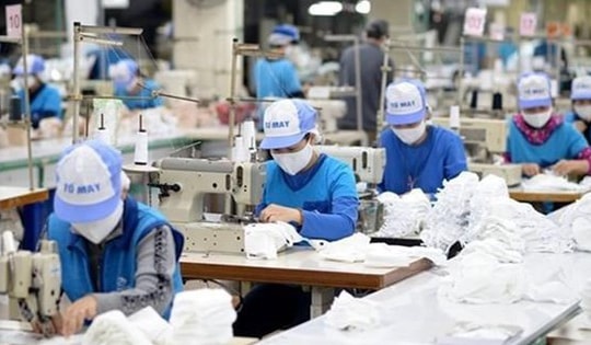 Thu nhập bình quân của người lao động năm 2025 đạt 8,4 triệu đồng/tháng