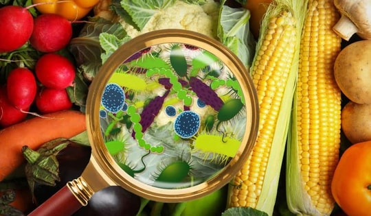 Chuyên gia chống độc 'hiến kế' 3 bước then chốt chặn đứng nguy cơ ngộ độc thực phẩm