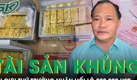 Hé lộ số tài sản 'khủng' bị thu giữ trong vụ cựu Thứ trưởng nhận hối lộ