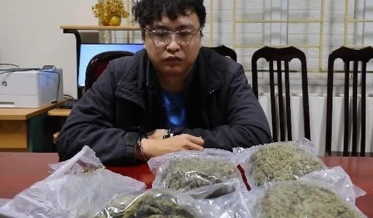 Phát hiện hơn 1 kg cần sa trong đơn hàng giao qua xe ôm ở Hà Nội