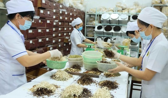 Cần biết: Quy định mới nhất của Bộ Y tế về chức năng, cơ cấu tổ chức của bệnh viện Y học cổ truyền