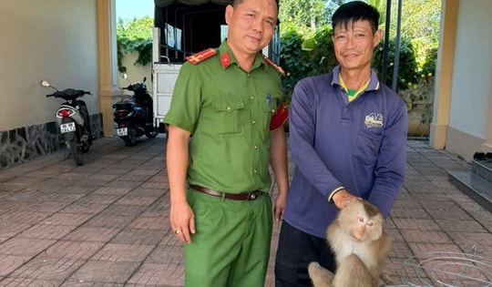 Nhiều động vật hoang dã nguy cấp, quý hiếm được thả về với tự nhiên