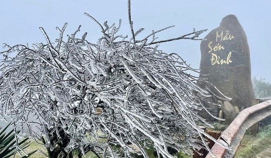 Miền Bắc bước vào đợt rét đậm, rét hại kéo dài