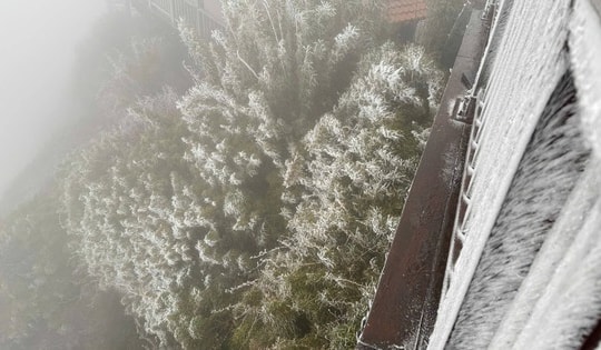 Băng giá phủ trắng đỉnh Fansipan sáng nay