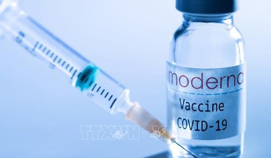 Bayer kiện các 'ông lớn' vaccine ngừa COVID-19 về bằng sáng chế