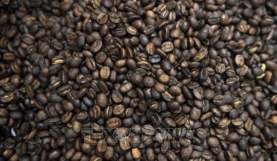 Thị trường nông sản tiếp tục chu kỳ giảm giá