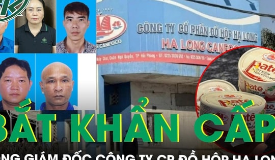 Bắt khẩn cấp Tổng Giám đốc Công ty CP Đồ hộp Hạ Long trong vụ thịt lợn nhiễm bệnh