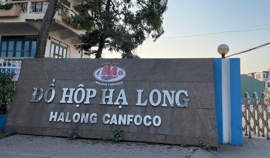 Bắt khẩn cấp Tổng Giám đốc Công ty CP Đồ hộp Hạ Long