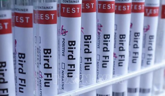 Australia cảnh báo chủng cúm mới lây lan mạnh