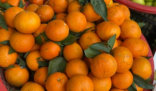 Tiểu thương “hé lộ” về nguồn gốc của một loại cam quen thuộc được người tiêu dùng Việt tiêu thụ mỗi ngày