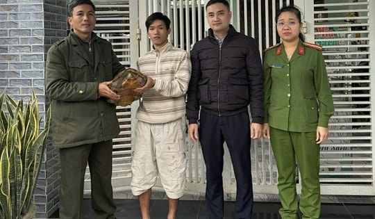 Phát hiện rùa quý hiếm nặng gần 7kg trong vườn, người dân tự nguyện giao nộp cơ quan chức năng