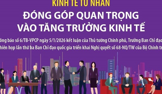 Kinh tế tư nhân đóng góp quan trọng vào tăng trưởng kinh tế