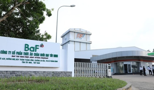 AGR khuyến nghị mua đối với cổ phiếu BAF, BSI và TCB