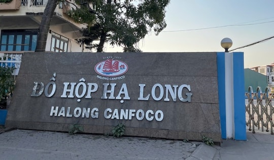 Vụ hơn 130 tấn thịt lợn nhiễm bệnh: Khởi tố, bắt tạm giam Tổng Giám đốc Công ty CP Đồ hộp Hạ Long