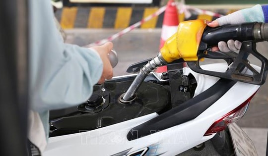 Từ 1/6/2026, Việt Nam sẽ chính thức chuyển sang sử dụng xăng sinh học