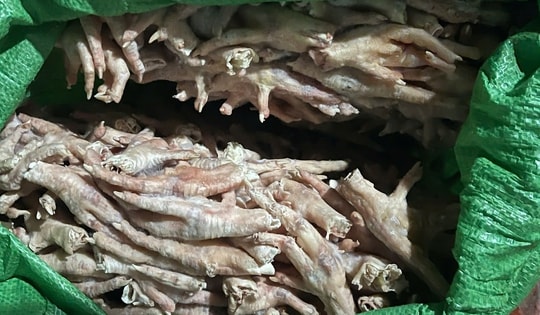 Phát hiện hơn 3 tấn chân gà đông lạnh trong bao dứa không rõ nguồn gốc