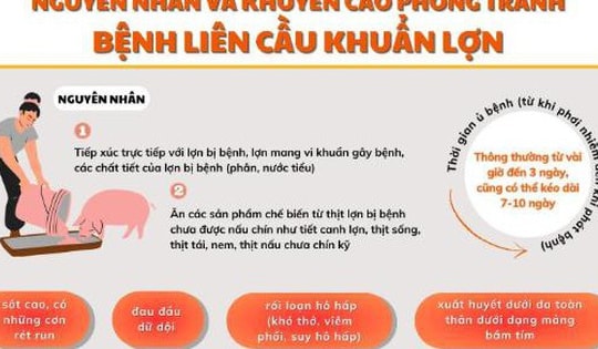 Ngành Y tế khuyến cáo thay đổi thói quen ăn uống để phòng liên cầu lợn